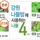 뽕잎사랑원주