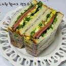 여우소풍
