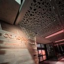 OLD TV | 애리조나 여행 캐노피 바이 힐튼 호텔 후기