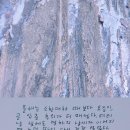 개구리네 Daum카페