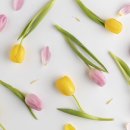 성서2길 이미지