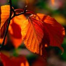 靑春-마음으로 하나 이미지