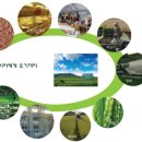 바른먹거리 이미지