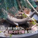 흘곶어촌계