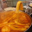 빨강다람쥐 이미지