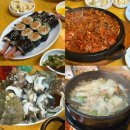 좋은김밥집 | 대전 선화동 술집 추천｜돌판알고니부터 김밥까지, 분위기 좋은 대전막장집 솔직후기