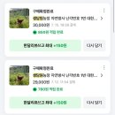 생담원농장 | 생담원 달걀 구매 후기