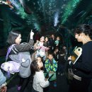 롯데월드아쿠아리움 이미지