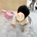 아가숲어린이집 | [남양주 아기랑 갈만한곳] 10개월 아기랑 ‘도르르’ 주말 이용 후기(예약방법,주차)