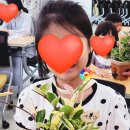 반려식물 원예화분 공예 이미지
