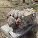 정성부부한의원 | 대추밭백한의원_4대원장님 진료