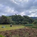 안성면100 이미지