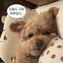 1급세종자동차공업사 이미지