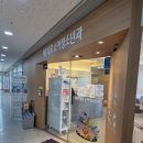 세종성모소아청소년과 | 세종 쌍둥이 영유아검진 2차 병원추천 세종성모소아청소년과의원