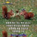 화평 이미지