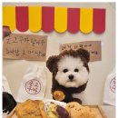 부산애견 이미지