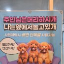 리안헤어(오류점) 이미지