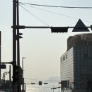 해변의 꿈 | 아기랑 부산 해운대 블루라인파크 스카이캡슐+해변열차(미포-청사포) 탑승 후기