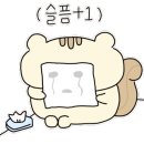 보물찾기 뽑기방 이미지