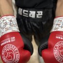 팀 드래곤 이미지