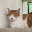유니버수 | 냥 냥 목욕해따구