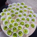 동양태권도스쿨 이미지