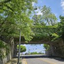 순환형코스 이미지