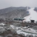 세성초등학교 이미지