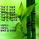 행복한날 Daum카페