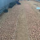 주빈농장 이미지