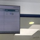로뎀나무 동물의료센터 네이버블로그