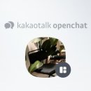 스테이달리 이미지