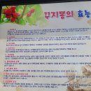 고래삼계탕