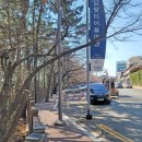 청사포공원 어울마당 | 부산 해운대 벚꽃 명소 달맞이고개 개화 현황 및 달맞이길 주차장