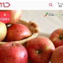11번가 이미지