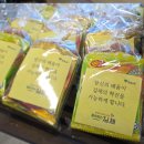 김제시청 | [강의기록/후기] 나만 알고 싶은 비밀, 미리캔버스 디자인 캠프@김제시청(5H)