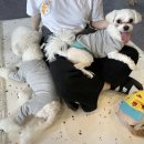 (주)에이알씨 이미지