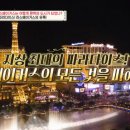 (사)한밤마을문화관광마케팅연구소 | &lt;벌세계&gt; 욕망의 도시 라스베이거스의 빛과 그림자