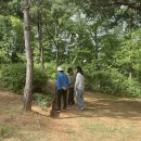 소풍 네이버블로그