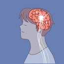 전찬일한의원 이미지