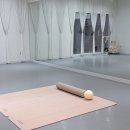 더발라레필발레학원 | [내돈내산] 발레 초보의 우당탕탕 더발라레필 서울숲점 후기