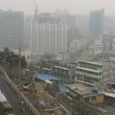 임의규-1 이미지