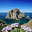 독도블루스 이미지