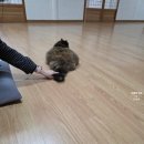 마이 휴 스테이 이미지