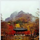 백양사 쌍계루 이미지