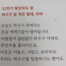 52번가 이미지