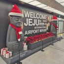 다도농장 | 제주도 2박 3일 차여행 🌱 (feat. 티카페 10곳 솔직 후기)