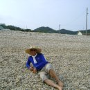 송이도해수욕장 Daum카페