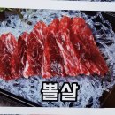 참치여행 이미지