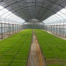 호원농장 이미지